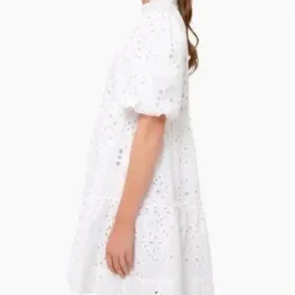 Tuckernuck x Cameran Eubanks Wimberly Palmer Eyelet Dress - Picture 7 of 7